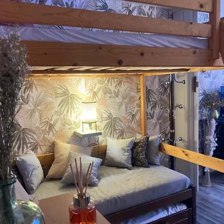 Berger Des Pyrenees Pied De Pistes Avec Terrasse Apartmán La Mongie