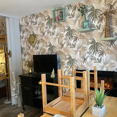 Berger Des Pyrenees Pied De Pistes Avec Terrasse