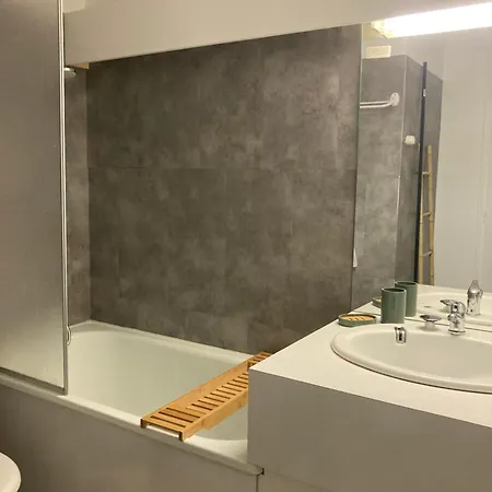 Berger Des Pyrénées Pied De Pistes Avec Terrasse * La Mongie