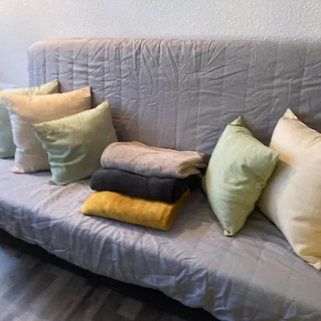 Berger Des Pyrénées Pied De Pistes Avec Terrasse