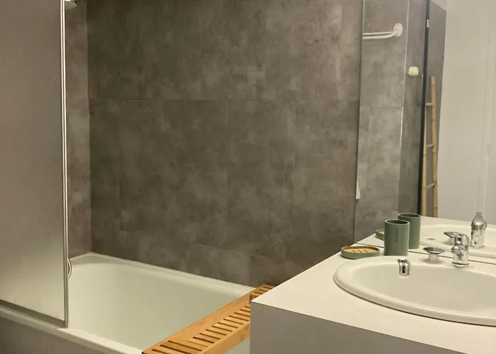 Berger Des Pyrenees Pied De Pistes Avec Terrasse * La Mongie